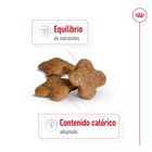 Royal Canin Mini 8+ Adult pienso para perros, , large image number null
